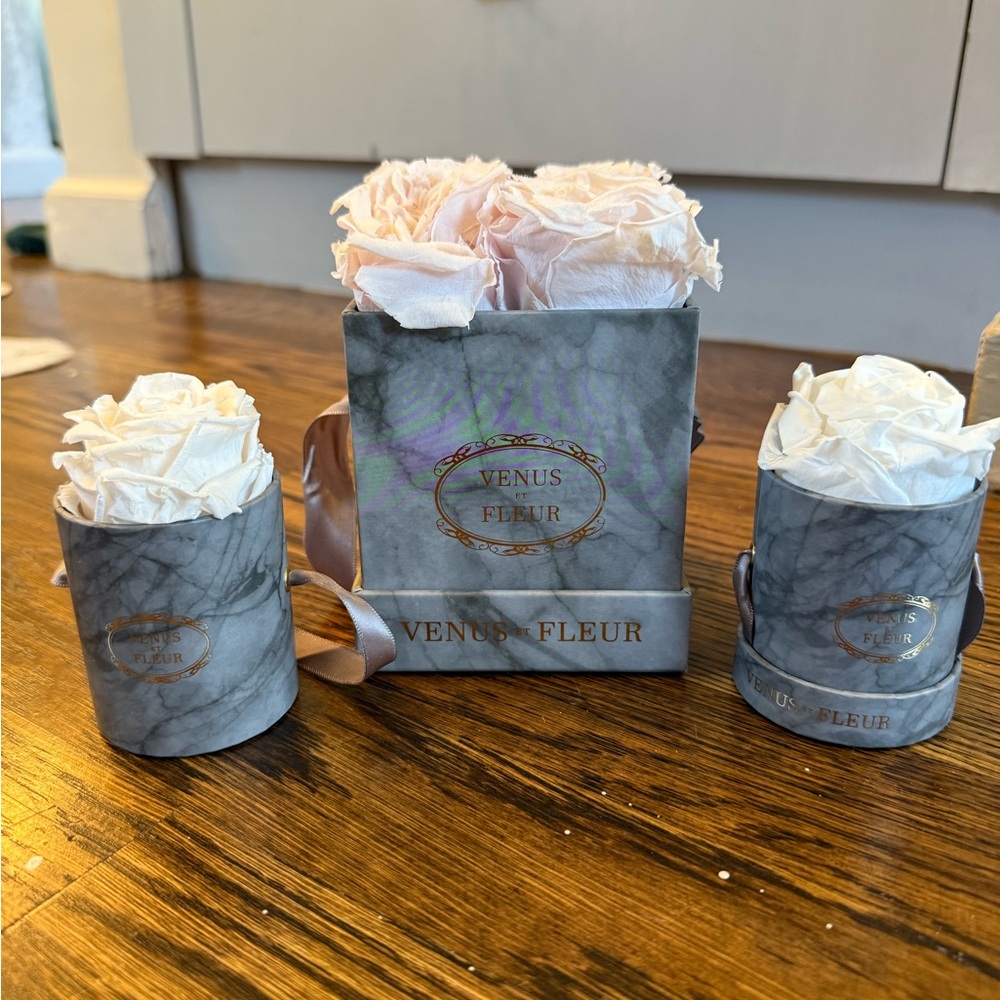 Set of 3 Venus Et Fleur forever roses boxes